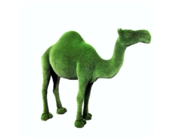 Топиар “Одногорбый верблюд”