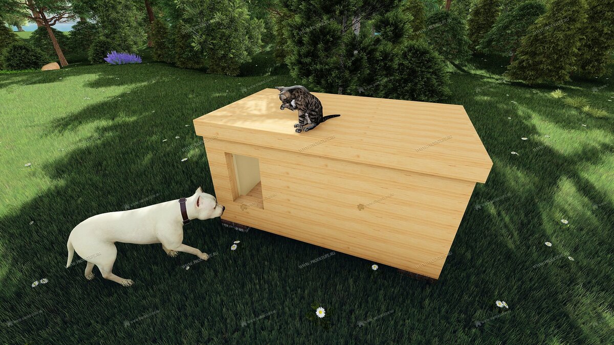 Как построить зимнюю будку для собаки своими руками